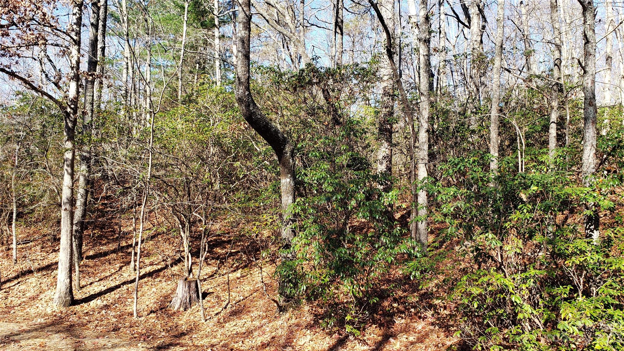 9999 Galax Lane Brevard NC 28712