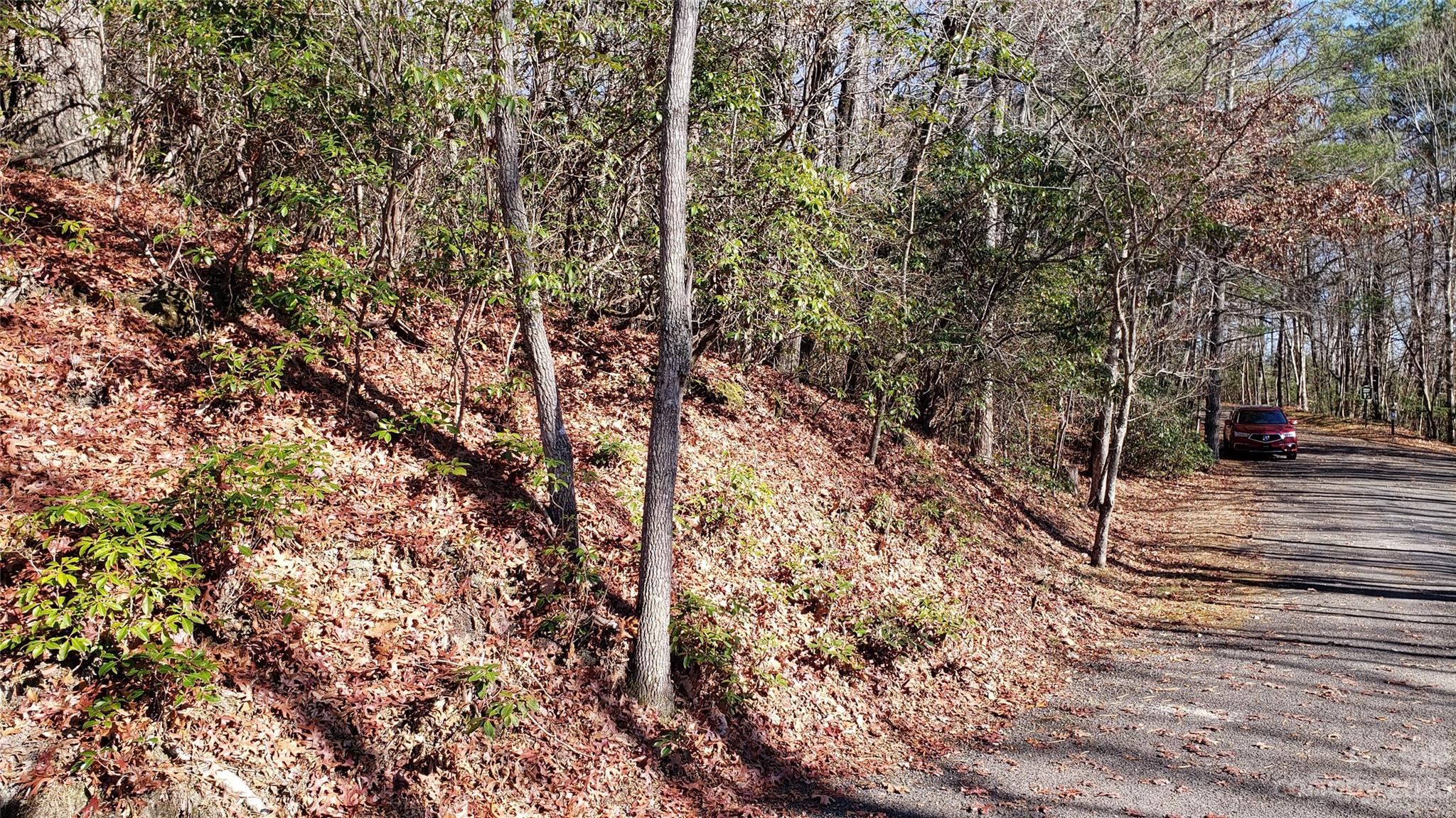9999 Galax Lane Brevard NC 28712