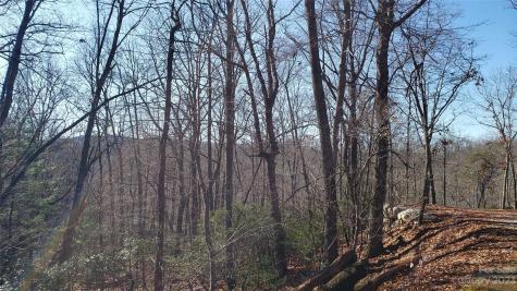9999 Galax Lane Brevard NC 28712