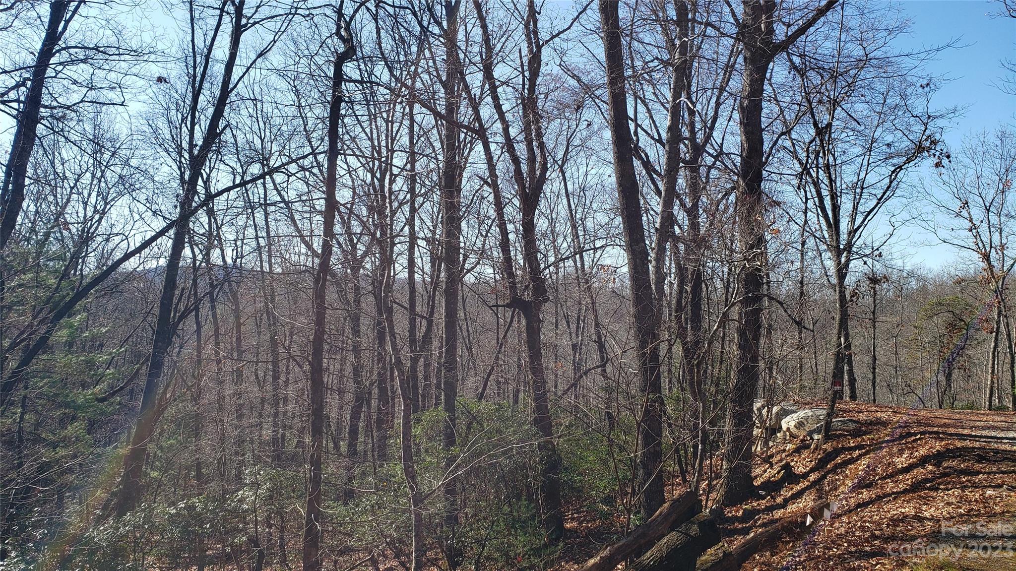 9999 Galax Lane Brevard NC 28712