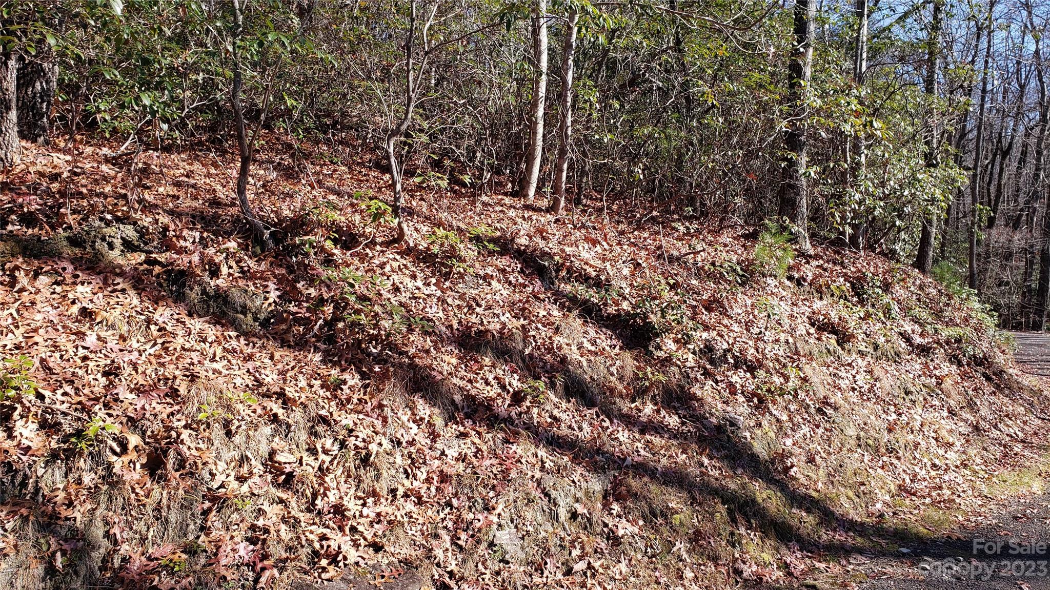 9999 Galax Lane Brevard NC 28712