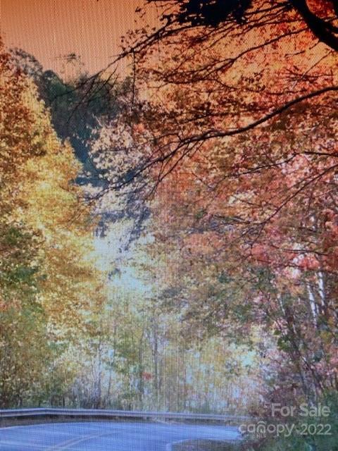 00 Trillium Lane Mars Hill NC 28754