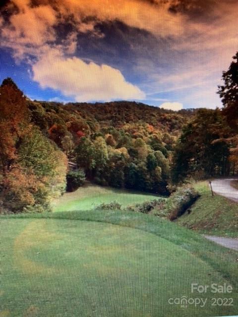 00 Trillium Lane Mars Hill NC 28754