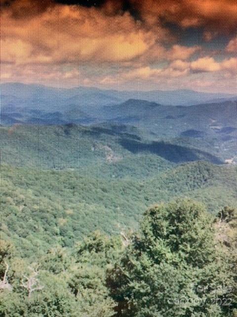 00 Trillium Lane Mars Hill NC 28754
