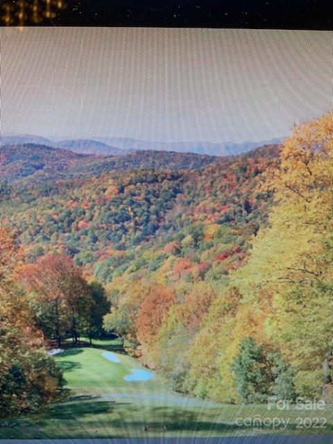 00 Trillium Lane Mars Hill NC 28754
