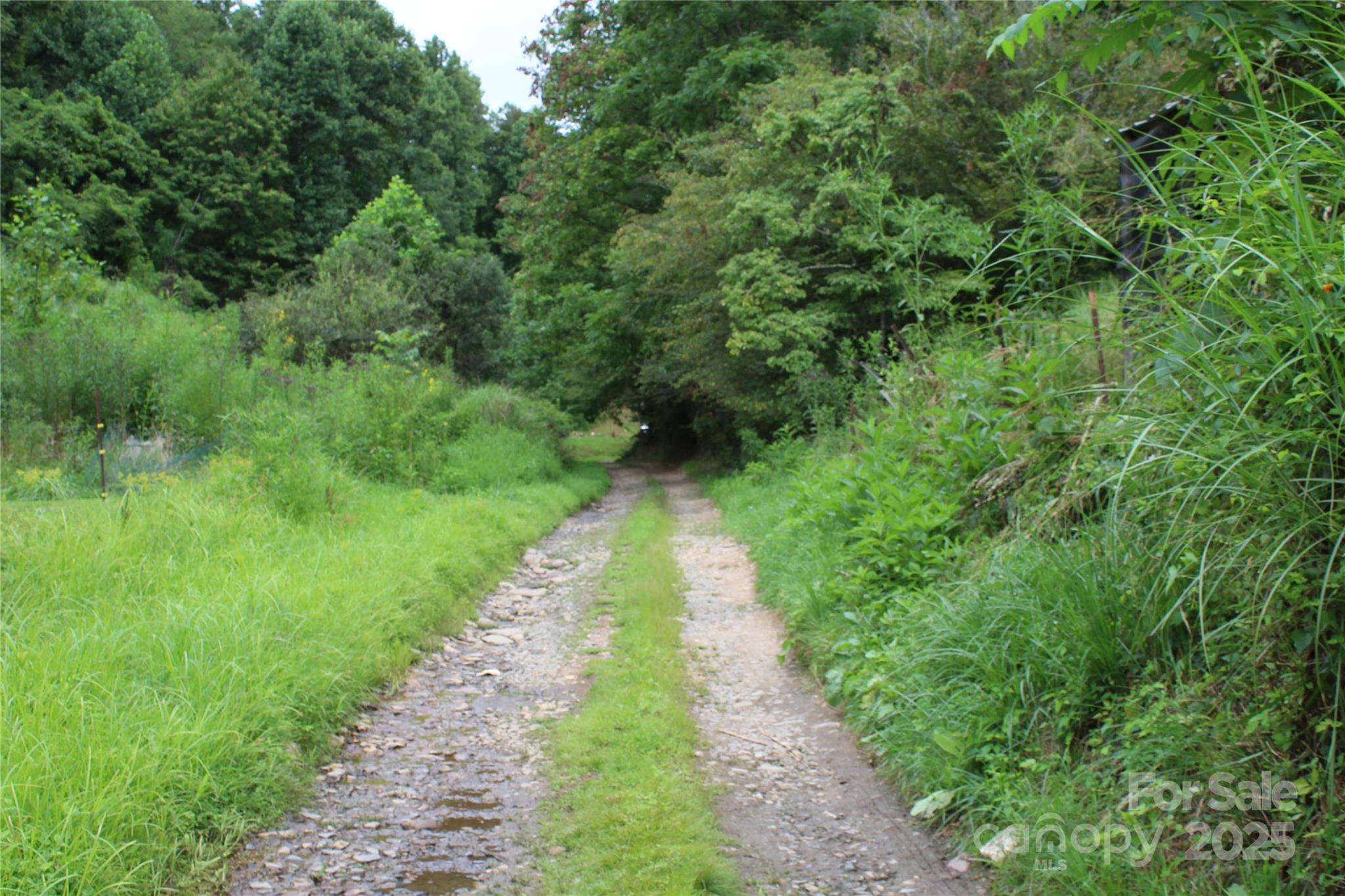 Lot 2 Cody Road Marshall NC 28753
