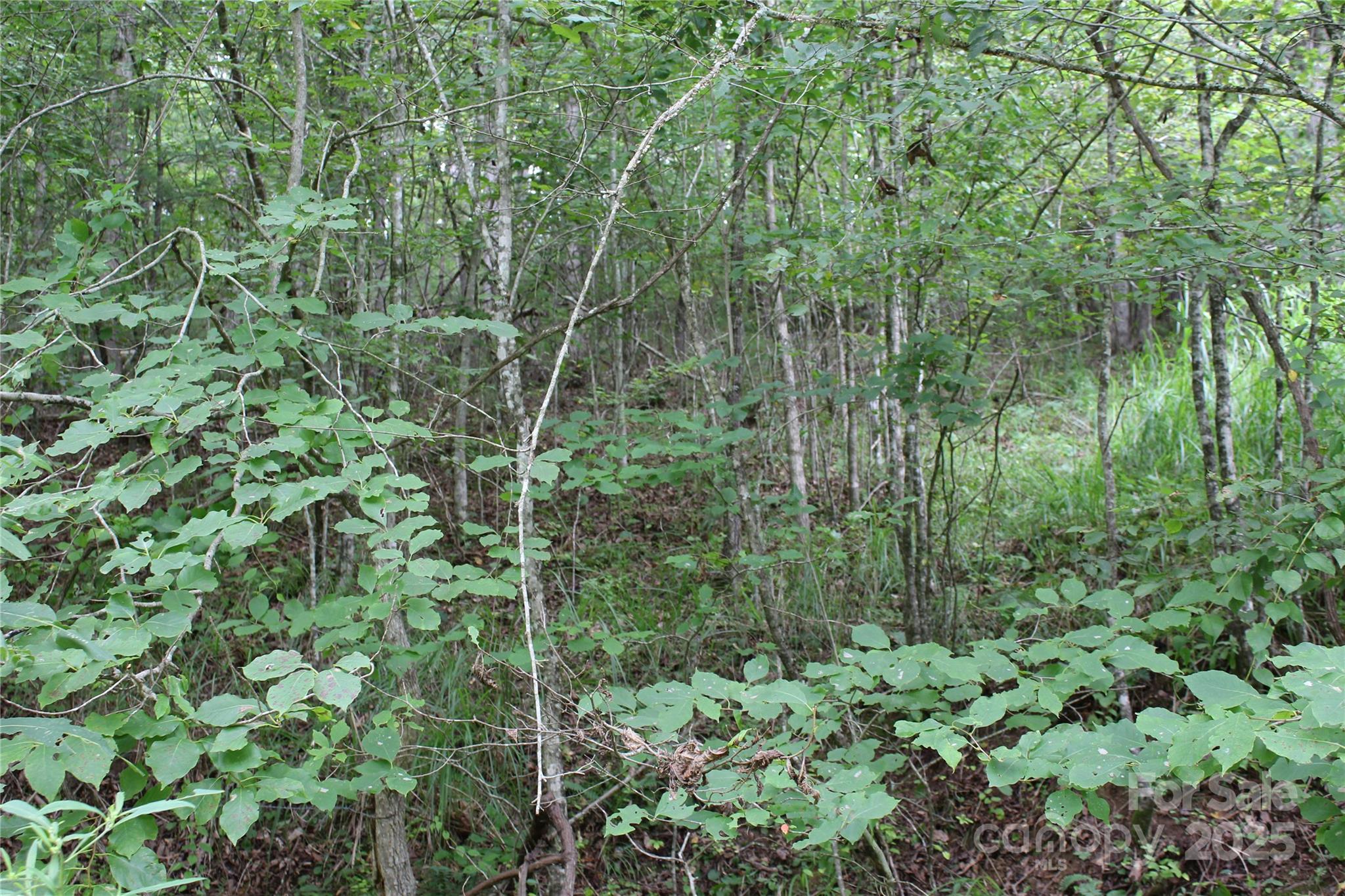 Lot 2 Cody Road Marshall NC 28753