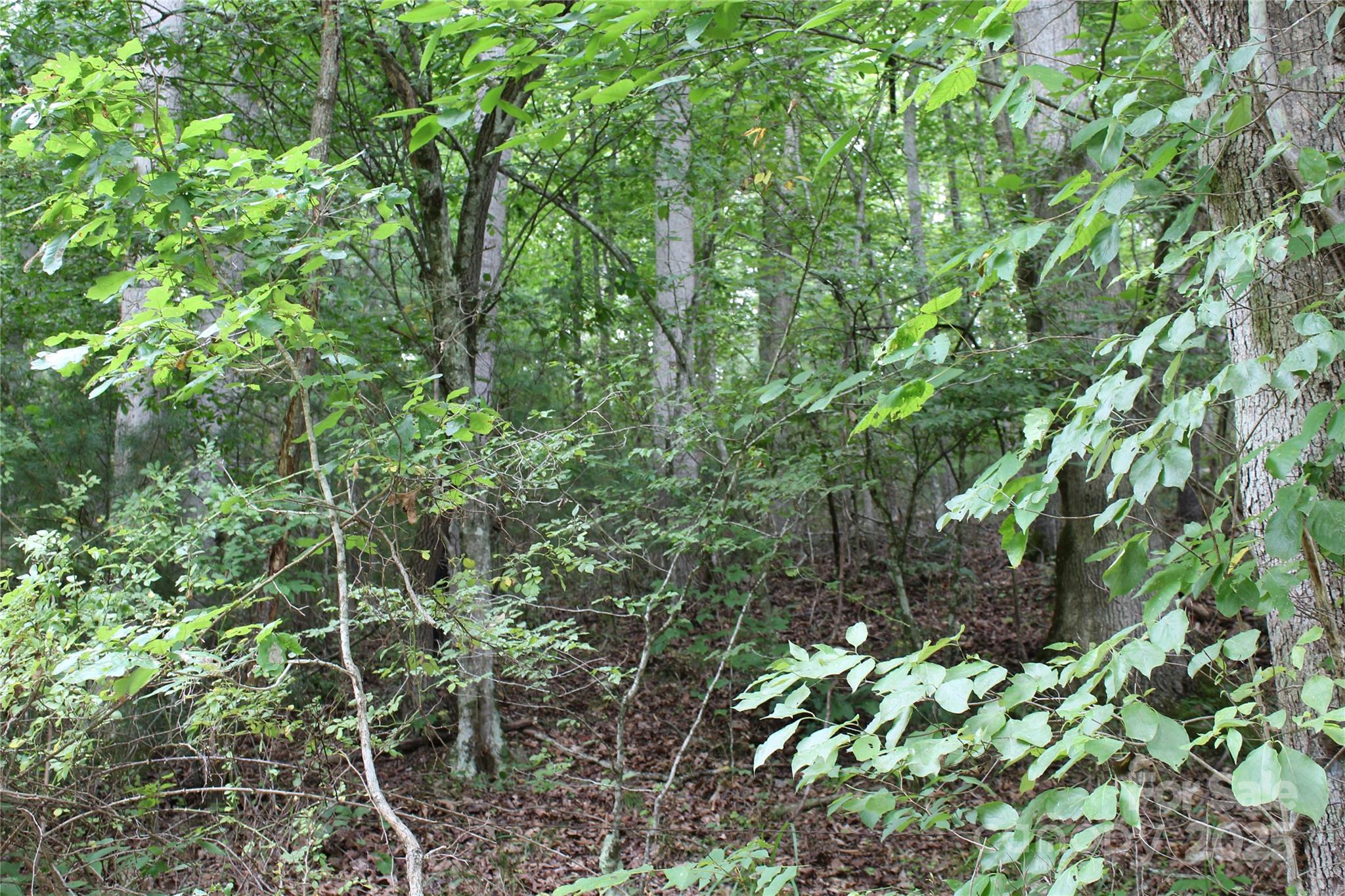 Lot 2 Cody Road Marshall NC 28753
