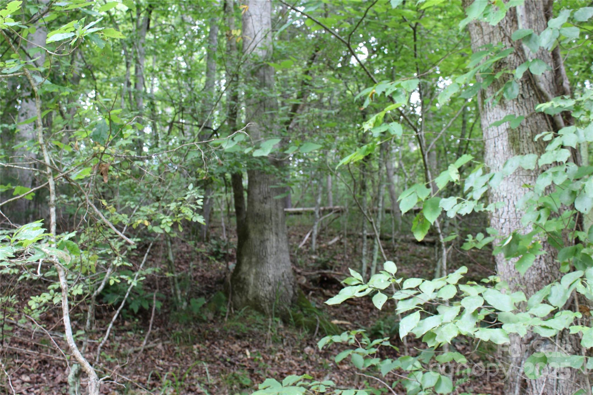 Lot 2 Cody Road Marshall NC 28753