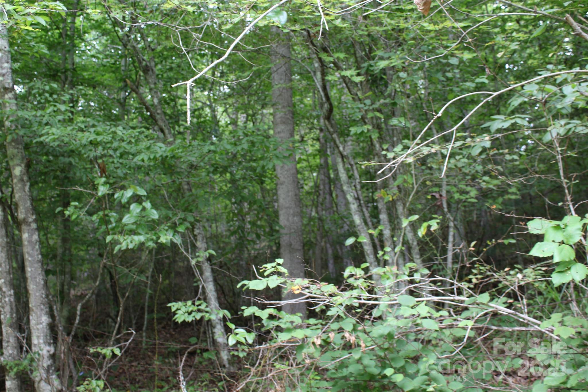 Lot 2 Cody Road Marshall NC 28753