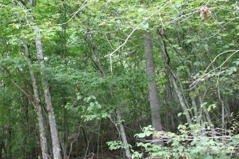 Lot 2 Cody Road Marshall NC 28753