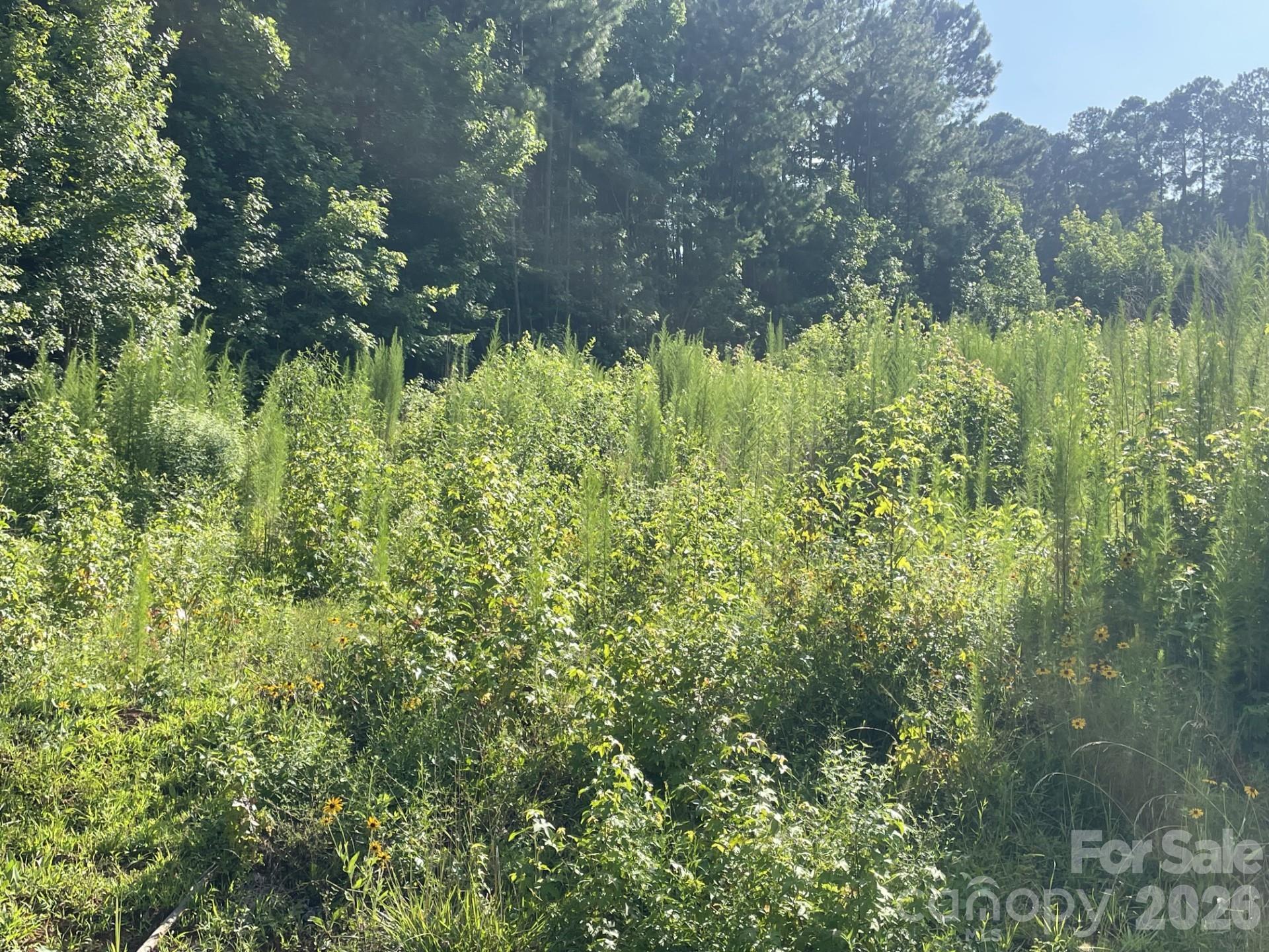 0 Ski Pond Road New London NC 28127