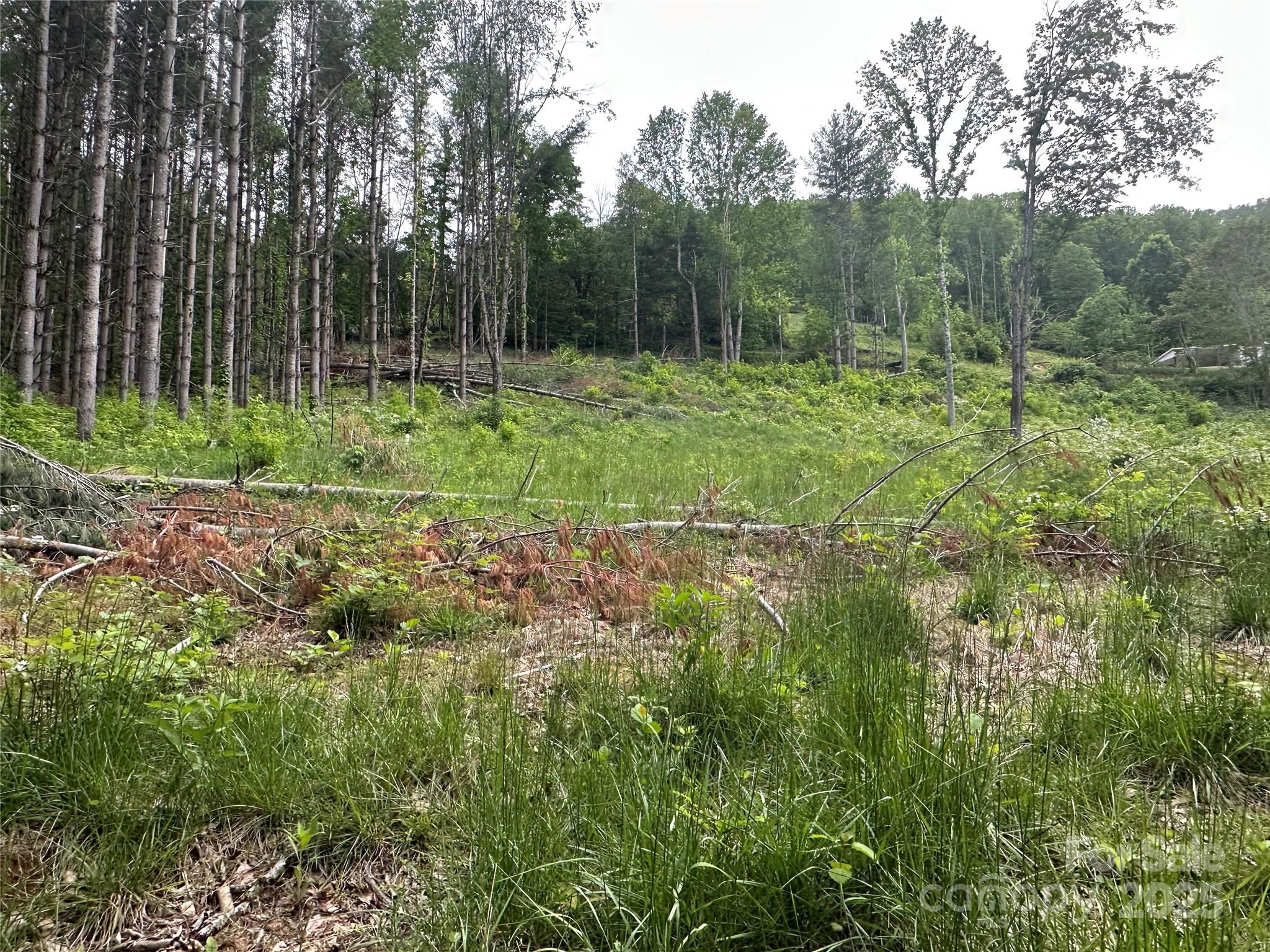 000 Pumpkin Patch Road Bakersville NC 28705