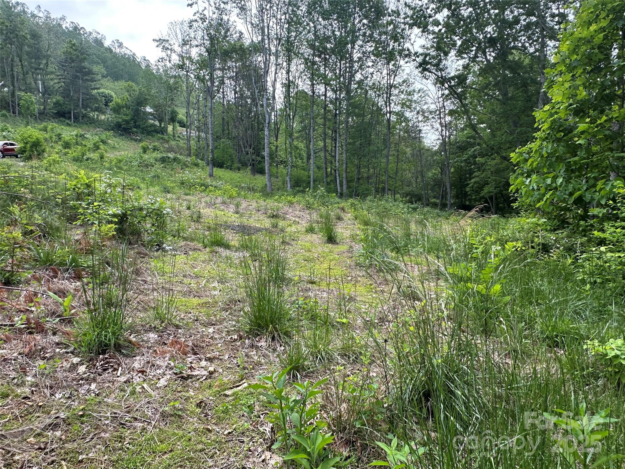 000 Pumpkin Patch Road Bakersville NC 28705
