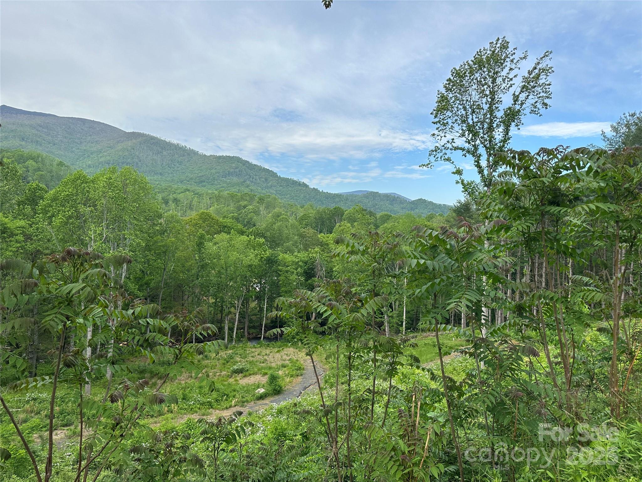 000 Pumpkin Patch Road Bakersville NC 28705