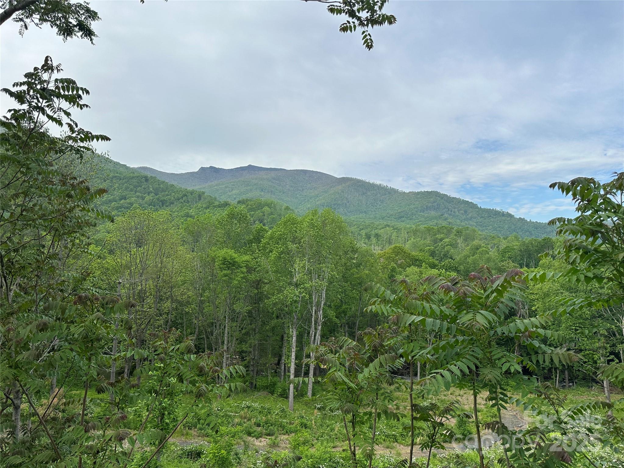 000 Pumpkin Patch Road Bakersville NC 28705