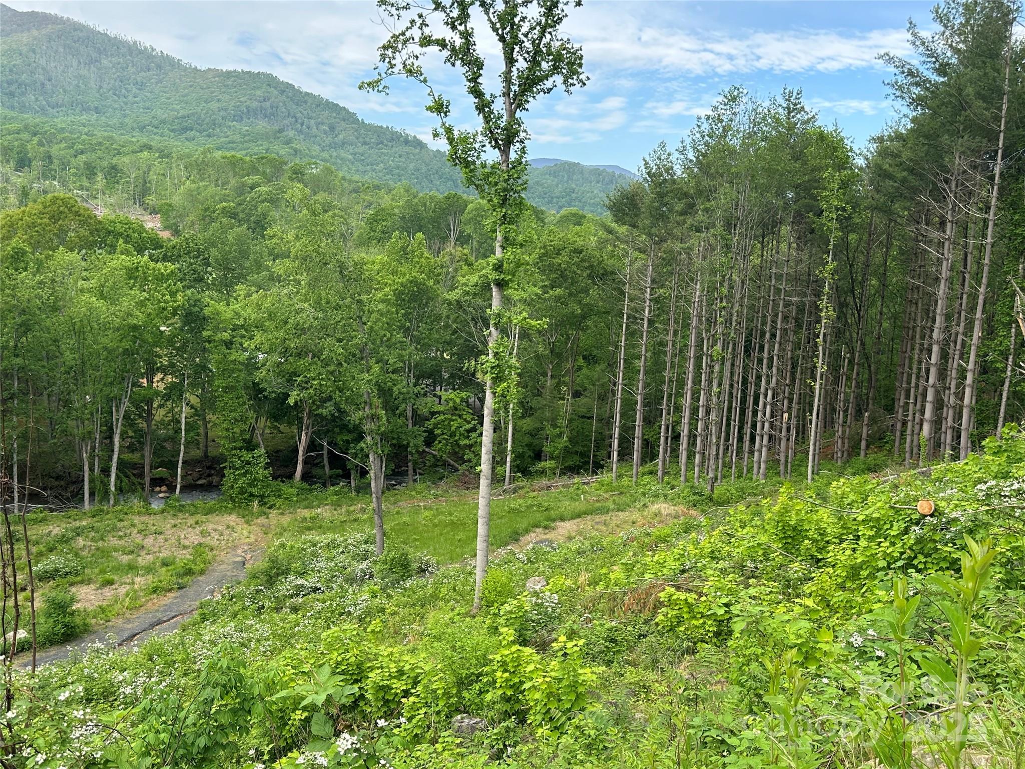 000 Pumpkin Patch Road Bakersville NC 28705