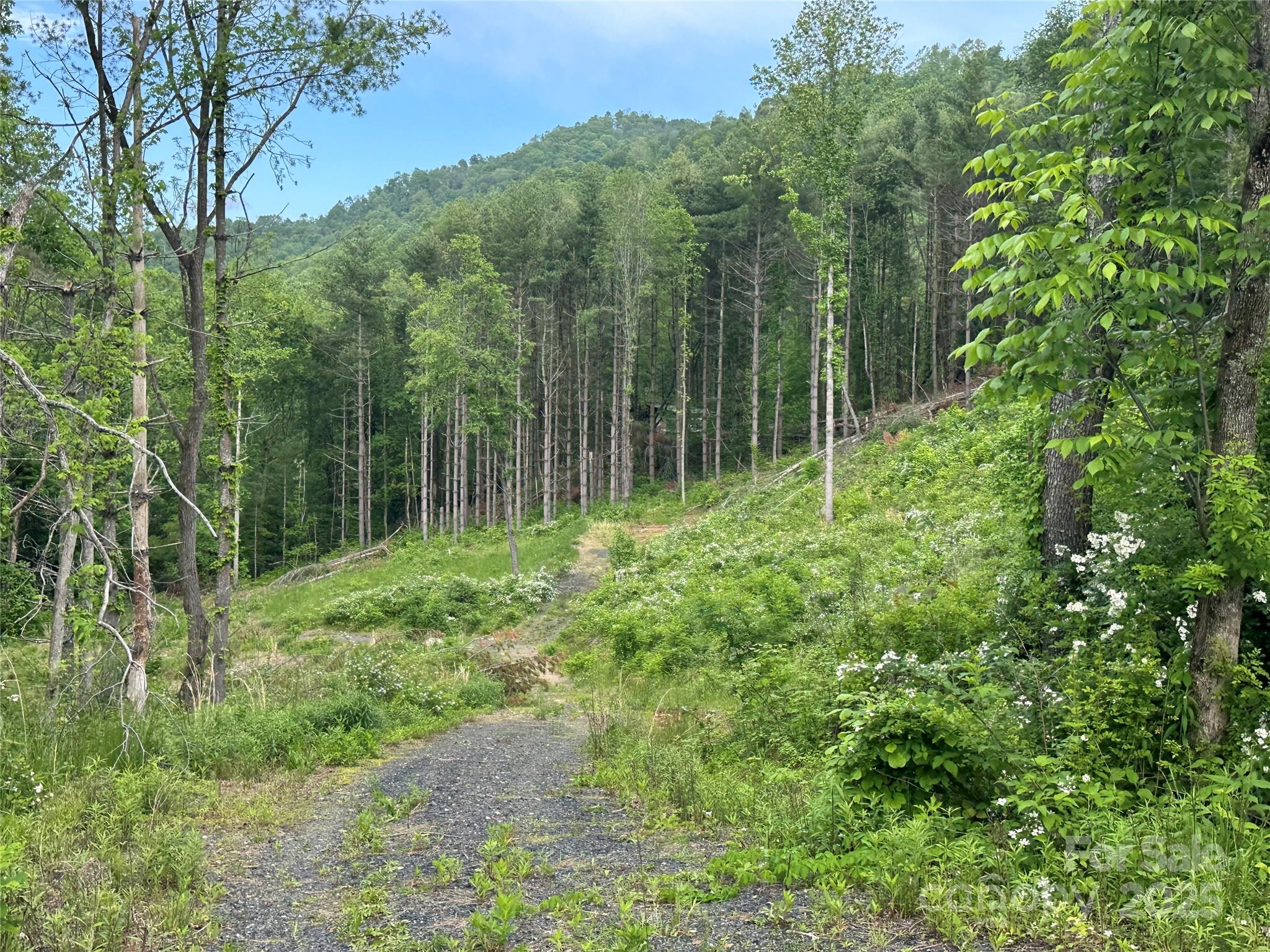 000 Pumpkin Patch Road Bakersville NC 28705