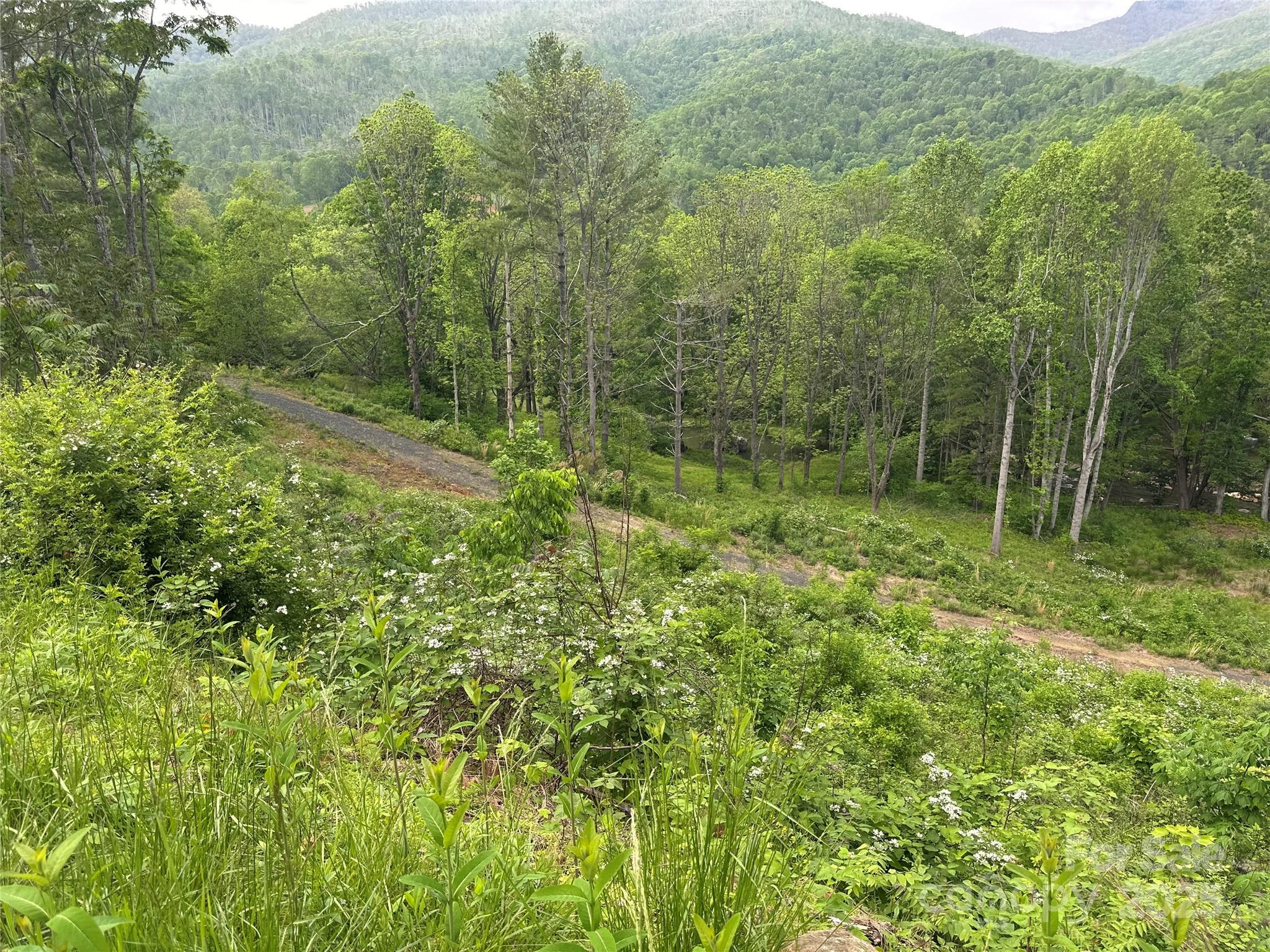 000 Pumpkin Patch Road Bakersville NC 28705