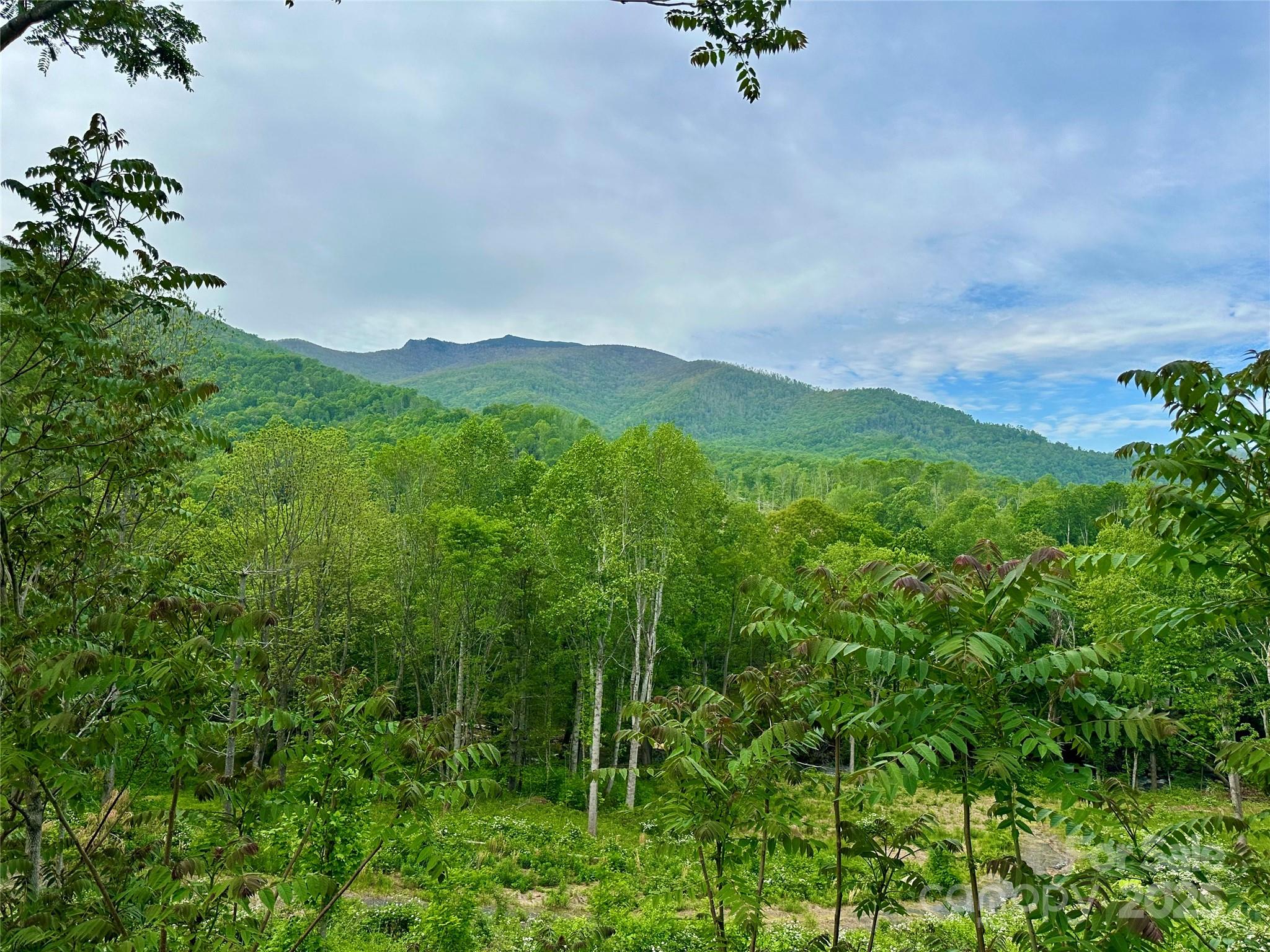 000 Pumpkin Patch Road Bakersville NC 28705