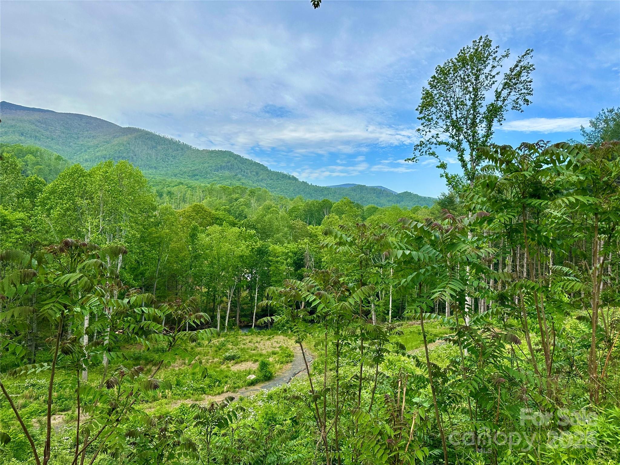 000 Pumpkin Patch Road Bakersville NC 28705