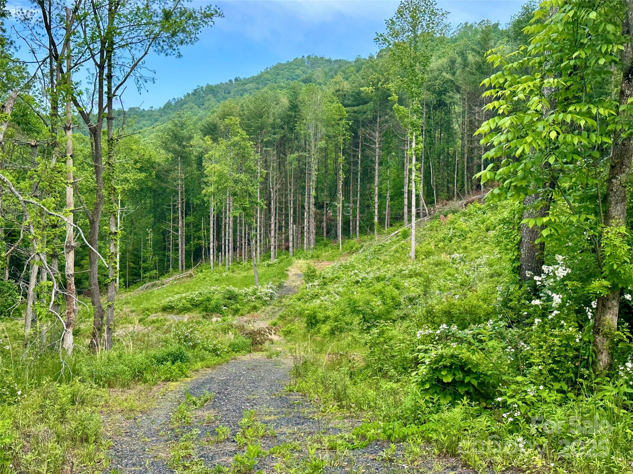 000 Pumpkin Patch Road Bakersville NC 28705
