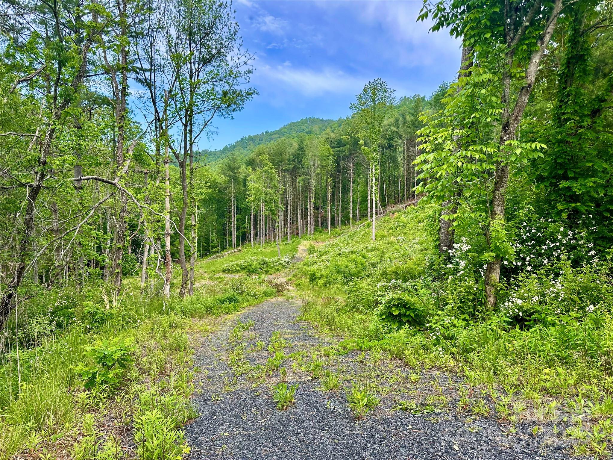 000 Pumpkin Patch Road Bakersville NC 28705