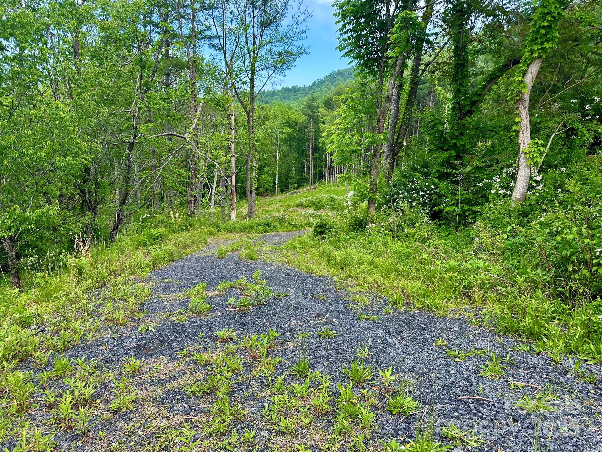 000 Pumpkin Patch Road Bakersville NC 28705
