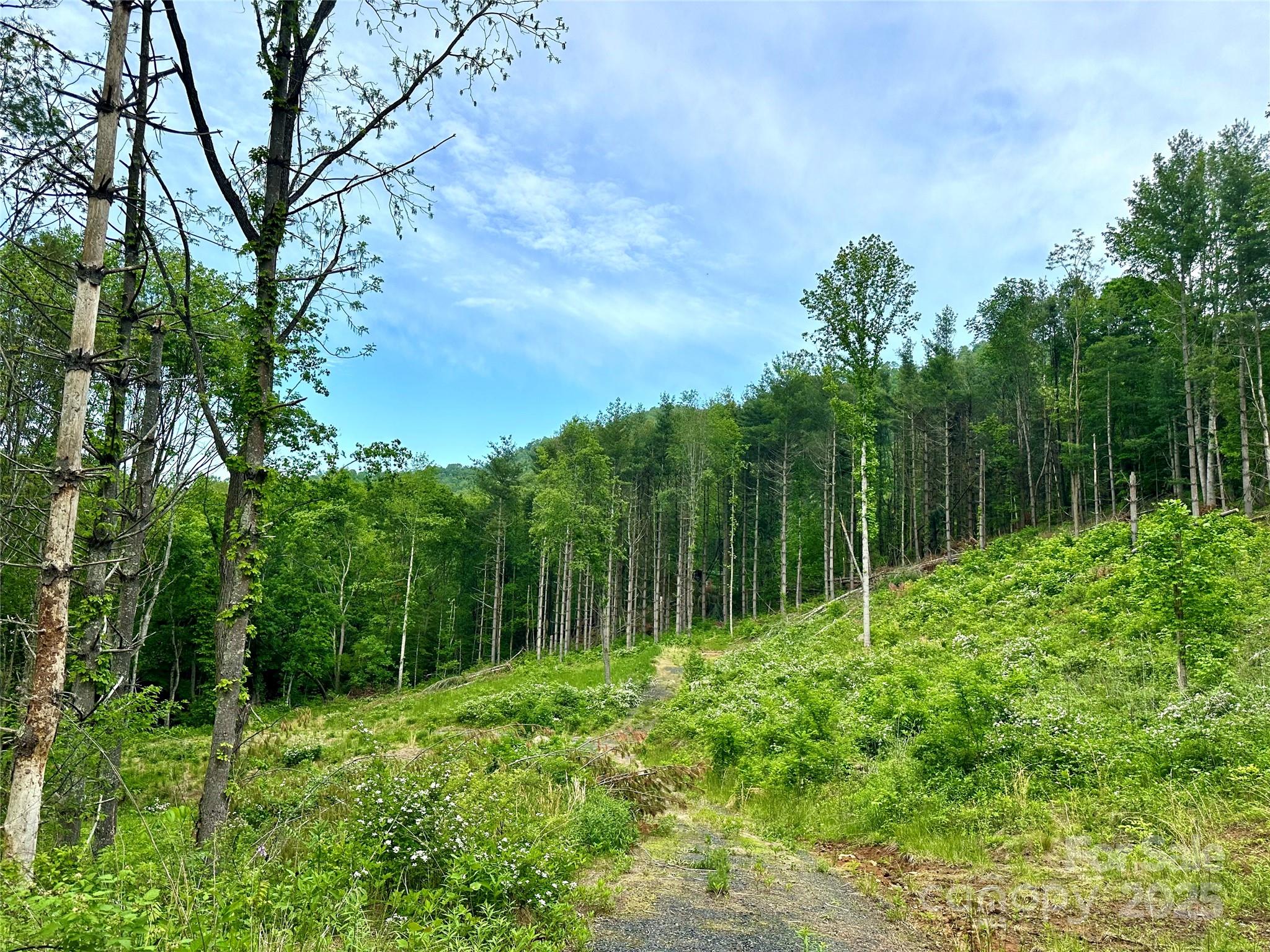 000 Pumpkin Patch Road Bakersville NC 28705