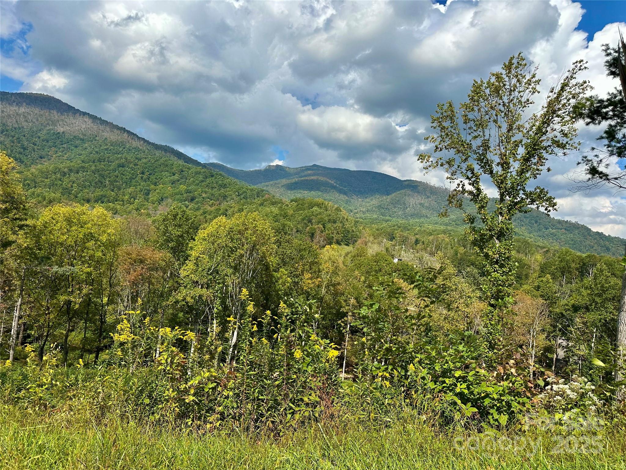 000 Pumpkin Patch Road Bakersville NC 28705