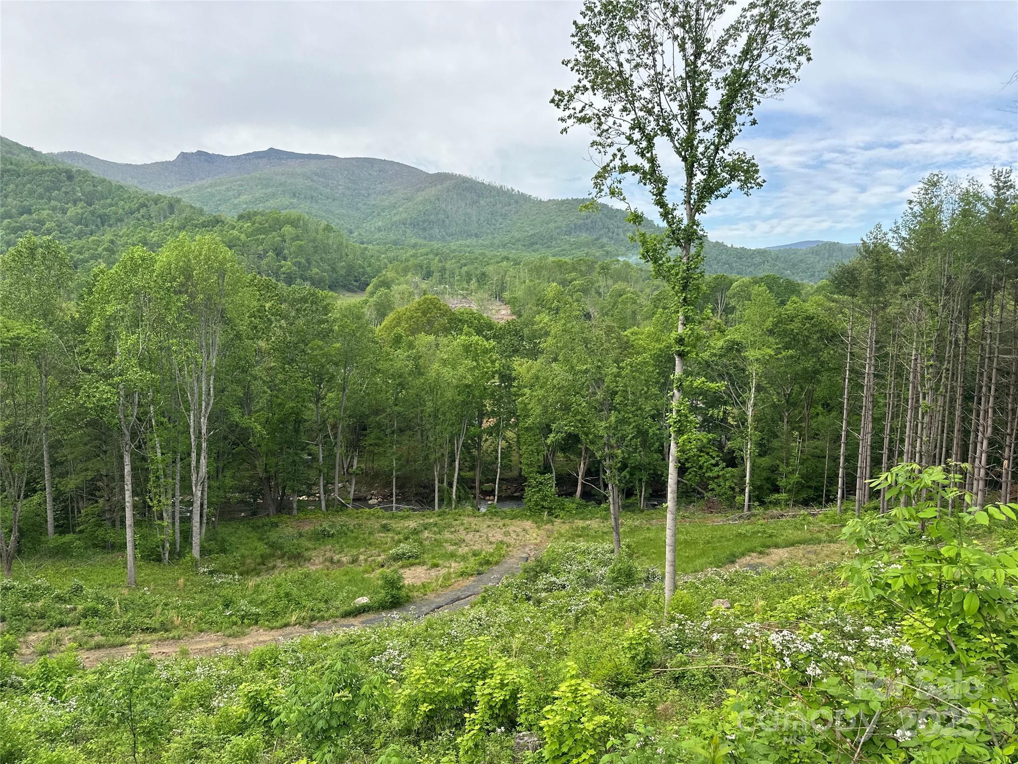 000 Pumpkin Patch Road Bakersville NC 28705