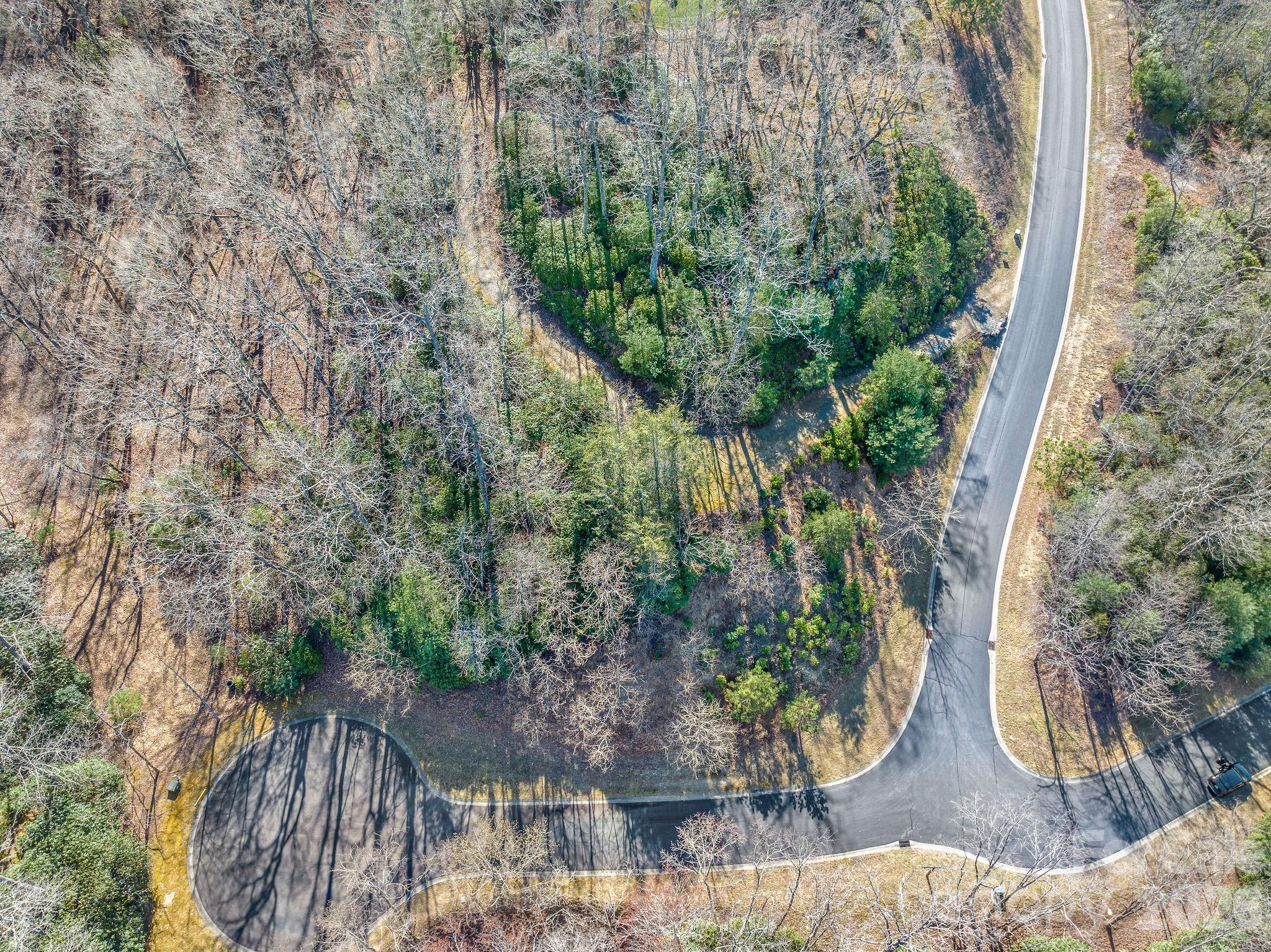80 Running Deer Trail S Horse Shoe NC 28742