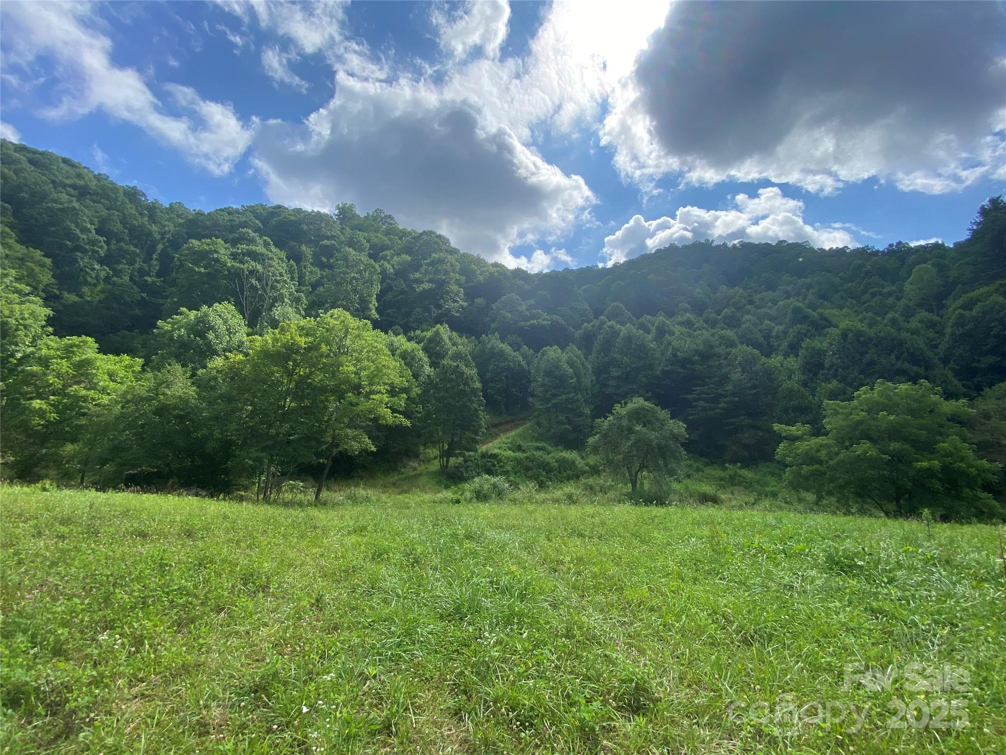 99999 Foster Creek Road Marshall NC 28753