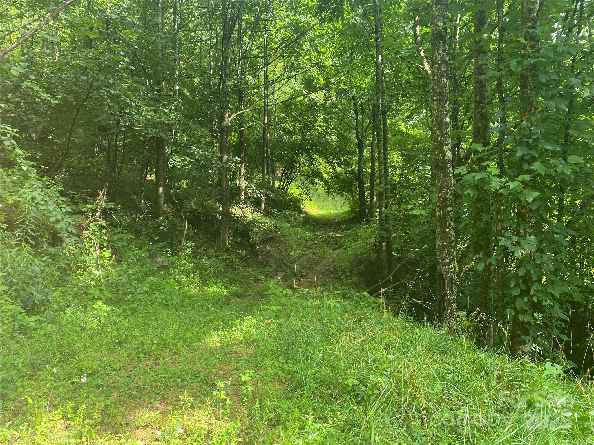 99999 Foster Creek Road Marshall NC 28753