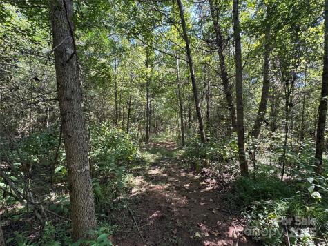 5963 Peniel Road Tryon NC 28782