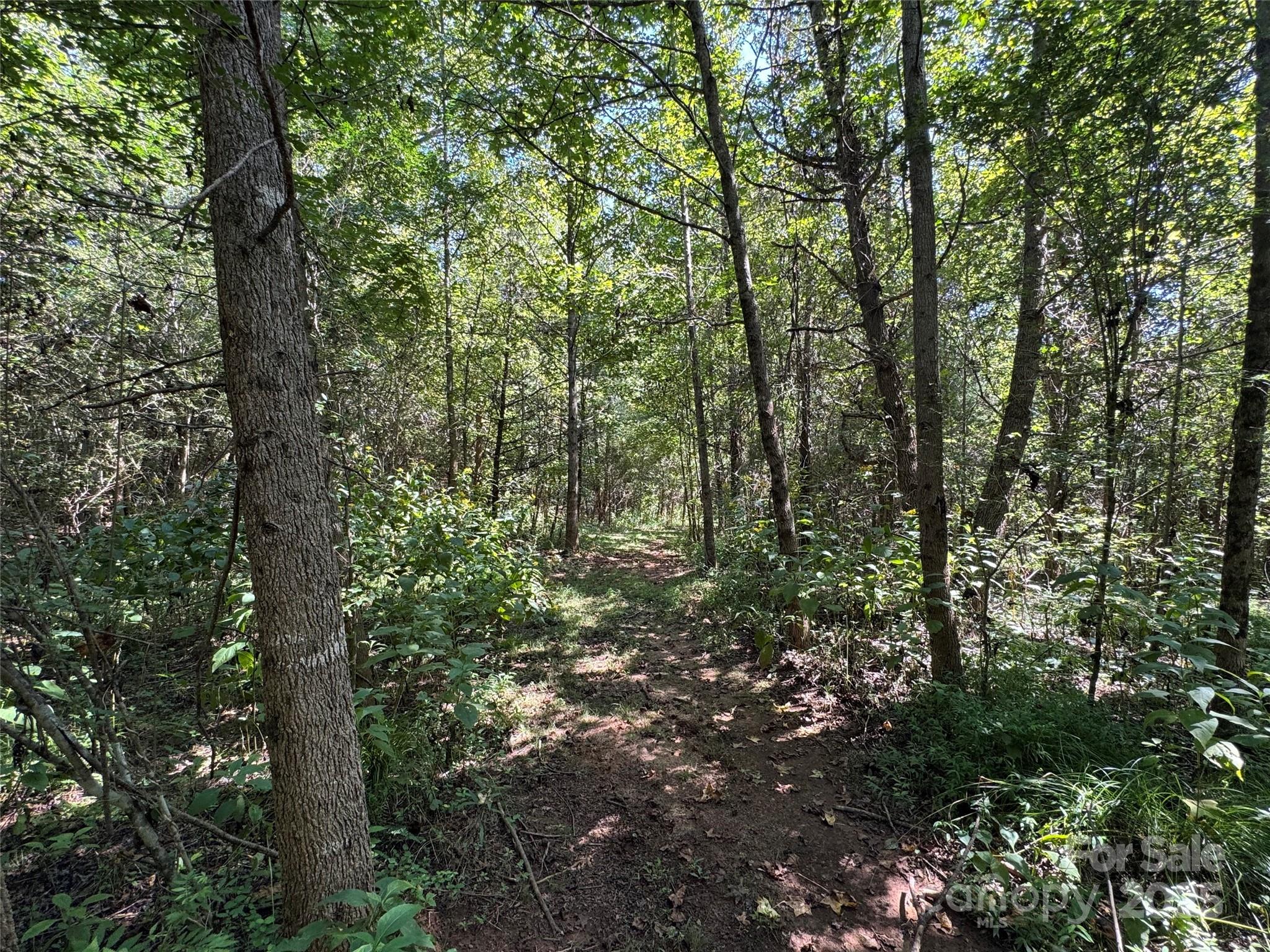 5963 Peniel Road Tryon NC 28782