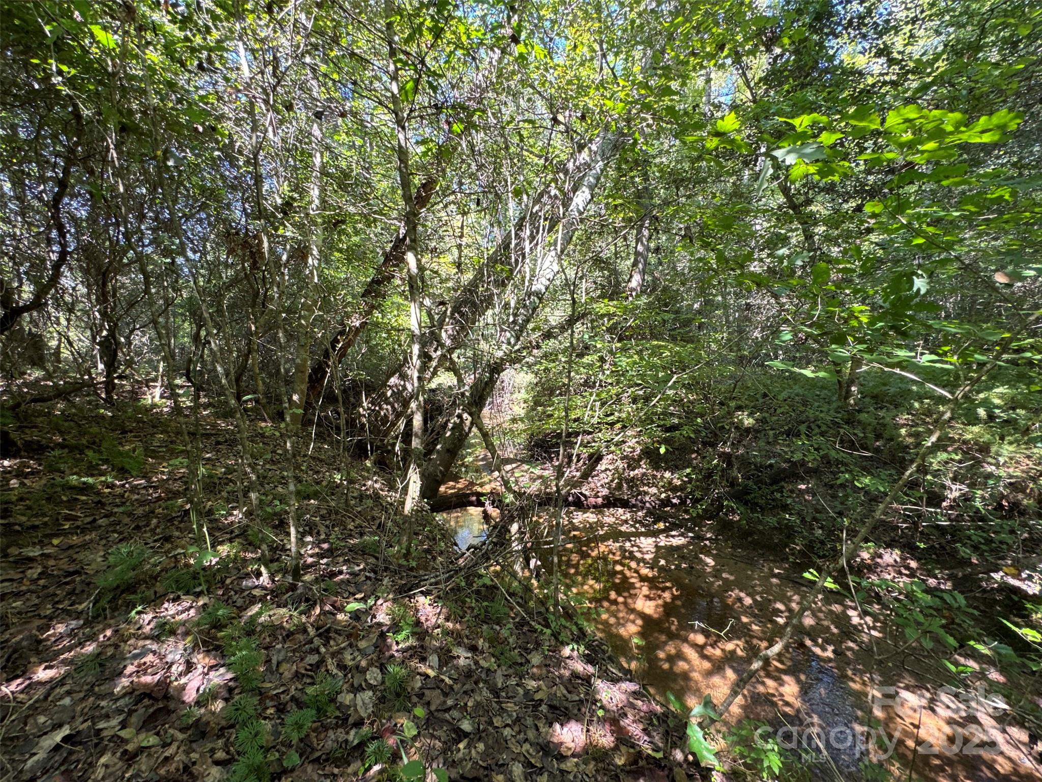 5963 Peniel Road Tryon NC 28782