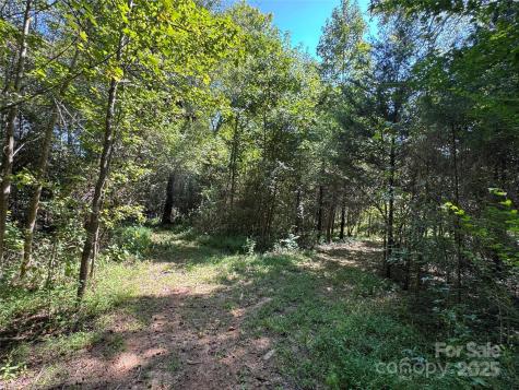 5963 Peniel Road Tryon NC 28782