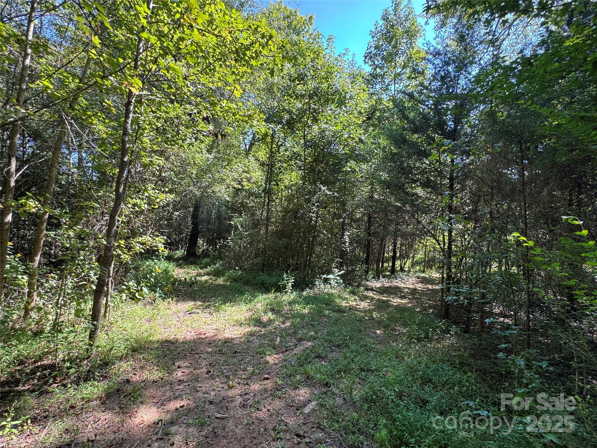 5963 Peniel Road Tryon NC 28782