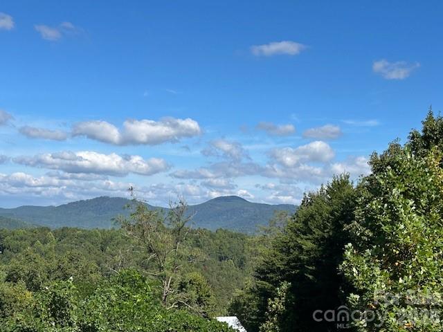 0 Tahawus Drive Bostic NC 29018