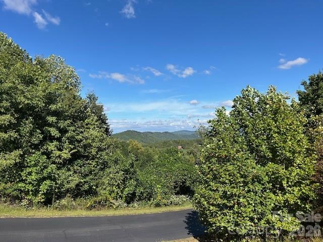 0 Tahawus Drive Bostic NC 29018
