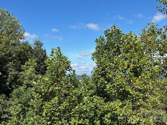 0 Tahawus Drive Bostic NC 29018