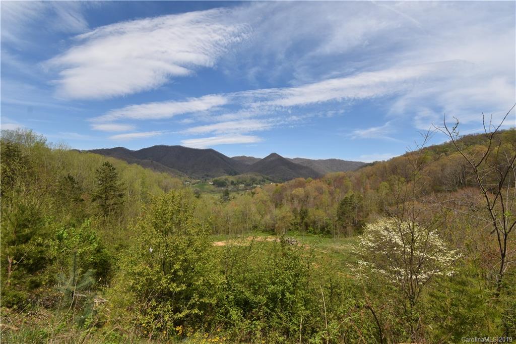 762 Carver Cove Road Canton NC 28716