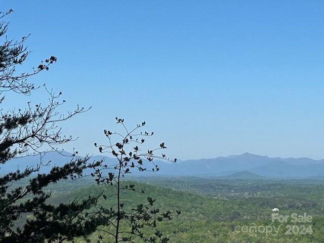 0 Arbra Mountain Way Bostic NC 28018
