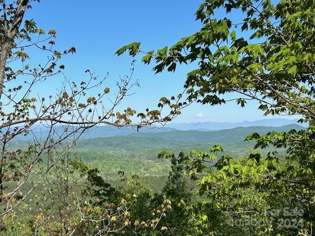 0 Arbra Mountain Way Bostic NC 28018