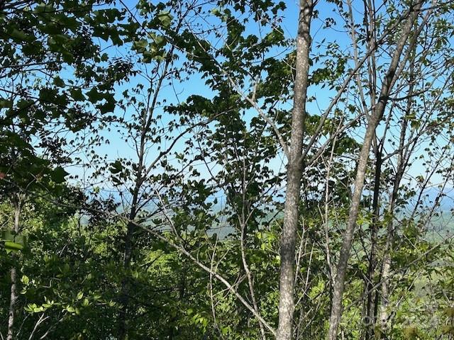 0 Arbra Mountain Way Bostic NC 28018