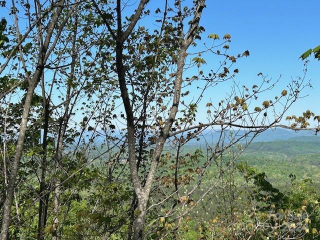 0 Arbra Mountain Way Bostic NC 28018