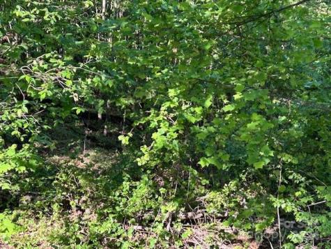0 Arbra Mountain Way Bostic NC 28018