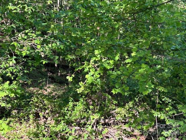 0 Arbra Mountain Way Bostic NC 28018