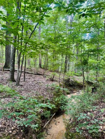 Lot 6 Wilson Drive Fort Mill SC 29707